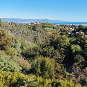 OFF MARKET A VENDRE - HAUTEURS DE CANNES – 15M CROISETTE