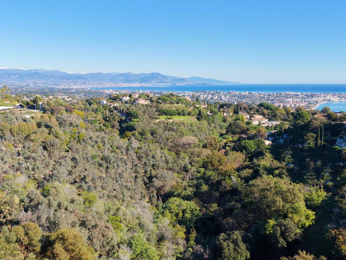 OFF MARKET A VENDRE - HAUTEURS DE CANNES – 15M CROISETTE