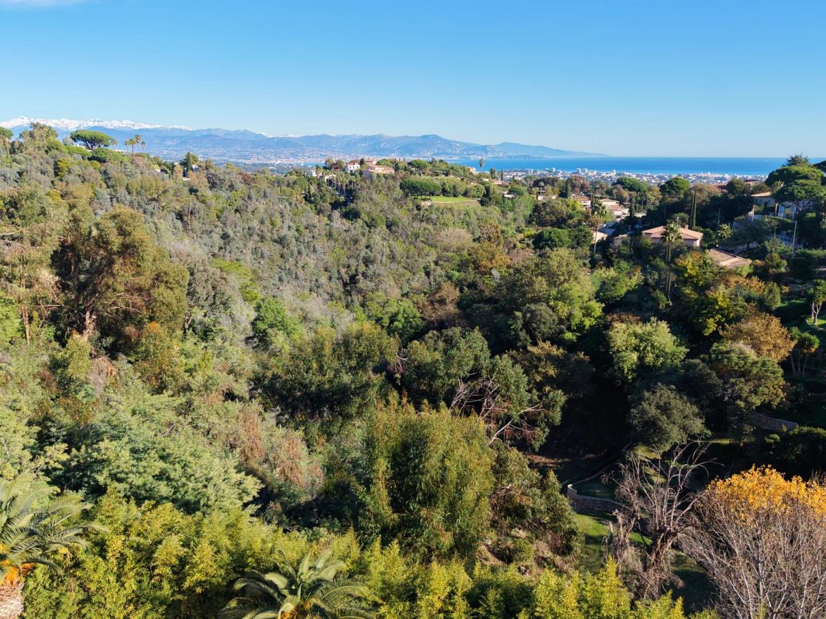 OFF MARKET A VENDRE - HAUTEURS DE CANNES – 15M CROISETTE